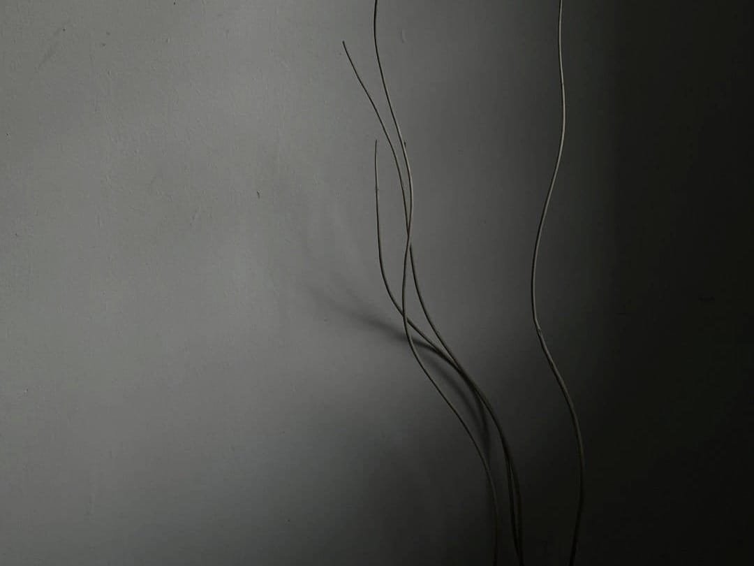 The Trouble With Transoms