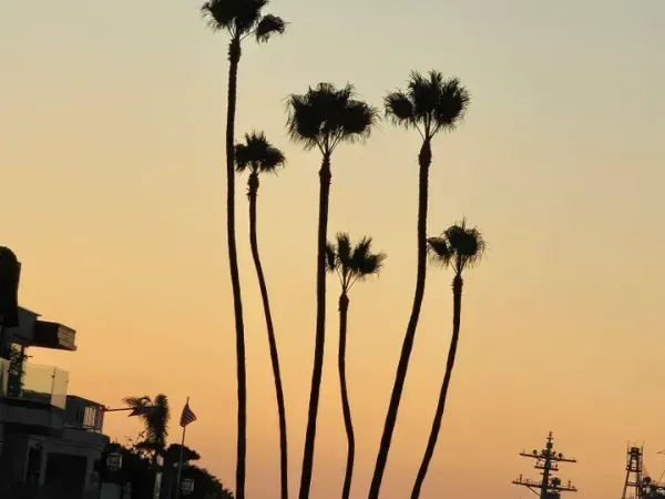 The ride home always seems faster than the ride there