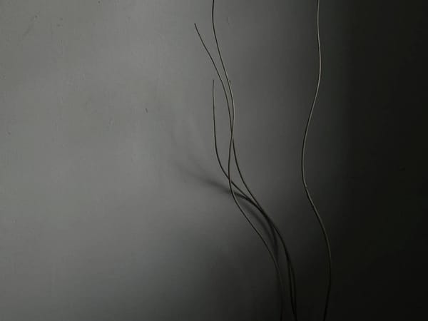 The Trouble With Transoms