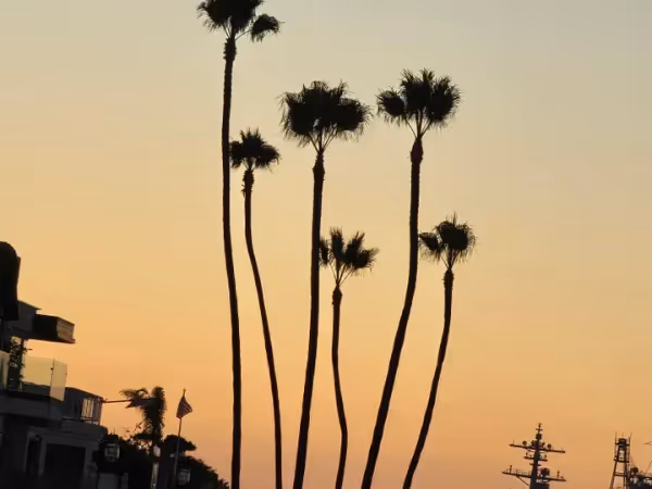 The ride home always seems faster than the ride there Feature Image