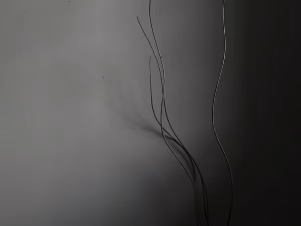 The Trouble With Transoms Feature Image